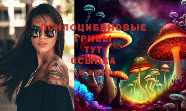 прущие грибы Баксан
