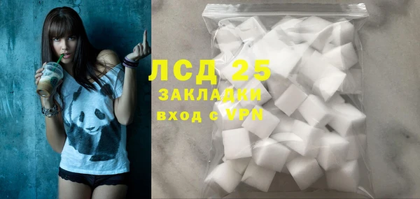 прущие грибы Баксан