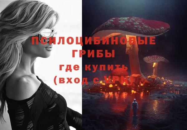 прущие грибы Баксан