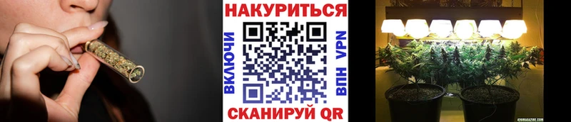 где купить   Высоковск  Бошки марихуана VHQ 